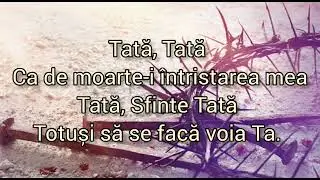 Negativ ton fata - Noapte-n Ghetsimani