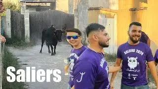 Bandido ➡️ Saliers 🇫🇷 01/08/24 Manade LESCOT #aficionados #abrivado #tradition