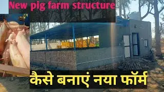 new pig farm structure in low budget नया फॉर्म कैसे बनाएं