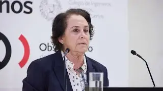 Carmen de Andrés, presidenta del Comité Técnico de Agua, Energía y Cambio Climático - DANA 2024