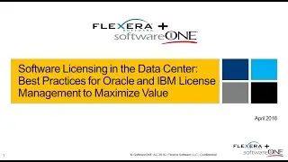 Best Practices for Oracle and IBM License Management to Maximize Value