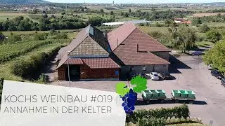 Annahme in der Kelter | #019