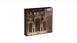 J.S. Bach - Complete Organ Music, Vol. 4 4CD Brilliant Classics (artikel 95005)
