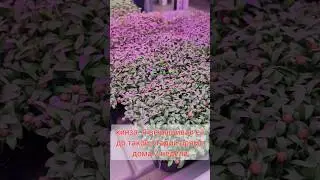Как я заработал 20 000 рублей? Бизнес 2023