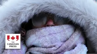 Arctic air blast sends temperatures tumbling in Ontario