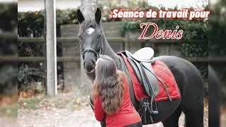Séance de travail avec mon jeune cheval ❤️