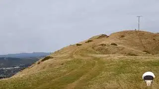 Colonial Knob Scenic Reserve and Walkway #NewZealand #NZ #10