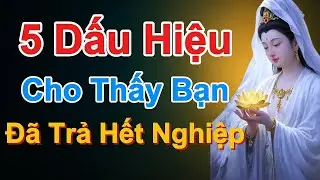 5 DẤU HIỆU CHO THẤY BẠN ĐÃ TRẢ HẾT NGHIỆP  BÌNH AN ĐANG ÂM THẦM NỞ HOA