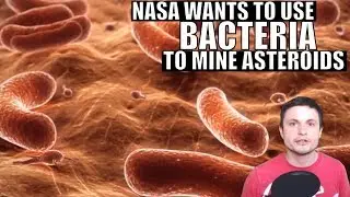 NASA Is Looking Into Using Bacteria to Mine Asteroids!