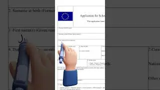 Schengen Visa Application Form