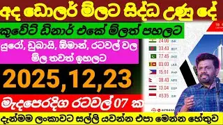 ඩොලරයේ  දැං වටිනාකම මෙන්න|Kuwait dinar exchange rate today|currency|remittance|23/12/2025