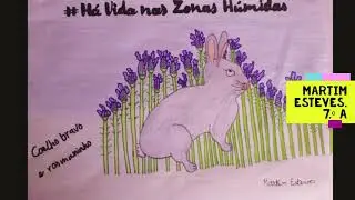 AEQC - Trabalhos das Zona H&uacute;midas - EcoEscolas