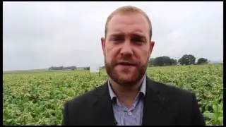 Solaris Tobacco Plant Fuel Ian Cruickshank part 1