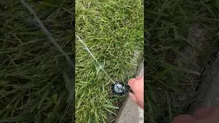 How to Increase Sprinkler System Pressure on Zone with Too Many Heads