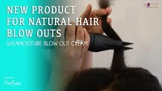 The Perfect Product for Natural Hair Blow Outs?