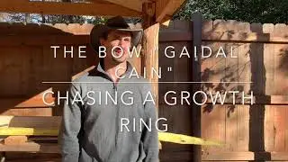 Gaidal Cain Self Bow - Chasing a Growth Ring