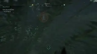 AC Valhalla Looting In Ireland