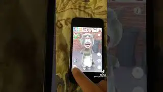 Talking Tom Cat 2010