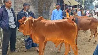 @আজ ২৮ ডিসেম্বর