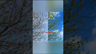 Erase And Change Difficult Sky Background Photoshop Tutorial