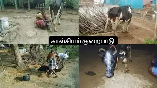 Видеоблог #Сколько кальция нужно молочным коровам 🐄🐄@Ramyamemories
