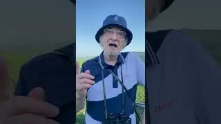 Функции магния