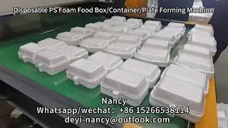 PS food container making machine PS plastic disposable takeaway tray machine #forming machine