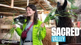 Sacred Valley Tour