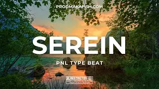 [FREE] PNL Type Beat 2023 