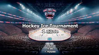 11.02.24 Hockey Ice Tournament г. Кушва Поле 1