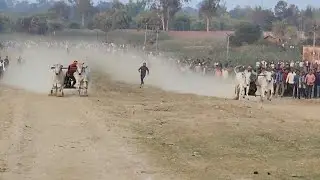 गंगेरुआ पट प्रतियोगिता 1 से 10 तक जोड़ी  (फाइनल) #barghat #balaghat #youtube #seoni #bull