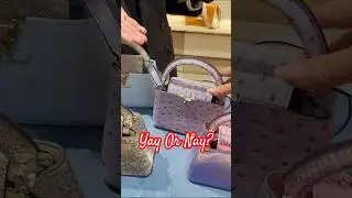 How Much Are The New Louis Vuitton Exotic Mini Capucines #shorts #luxurybags  #fallwinter2023