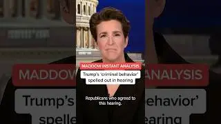Maddow: Jack Smith spells out Trump's 'criminal behavior' at hearing