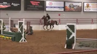 Wildfire (Sparky) 2ft6 Handy Hunter
