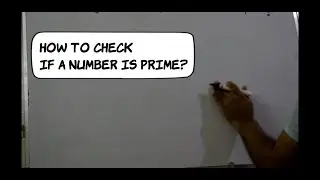 program-check if a number is prime or not | Programming in C