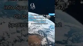 First Animal in SPACE! 😱 #Shorts