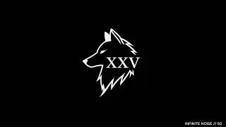 INFINITE NOISE // 50