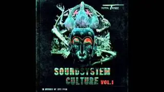Love The Cook - Punch Function [Infra Tribez Soundsystem Culture Vol. I]