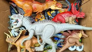 Dinosaur Jurassic World Toy In The Box ASMR Review: Distrotus Rex vs T-Rex