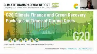 G20 Climate Finance and Green Recovery Packages in Times of Corona Crisis