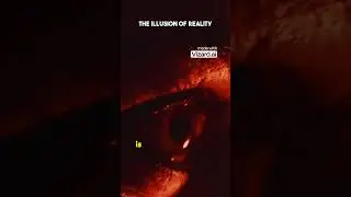 The Illusion of Reality