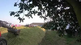 ENSILAJE VILLAR, LUARCA