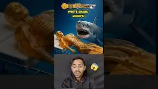 Which Animal Can Bite You in Half?😱