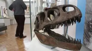 The newly redeveloped Lapworth Museum of Geology