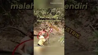 Kekuatan sengatan belut listrik