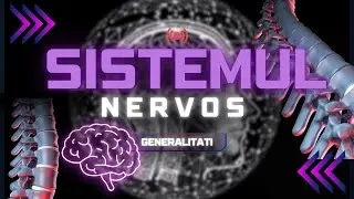 SISTEMUL NERVOS. MADUVA SPINARII -  Generalitati- MEDICINA explicata SIMPLU