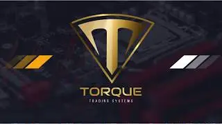 Краткий обзор компании #Torque Trading System