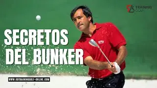 SECRETOS DEL BUNKER PARA MEJORAR TUS RESULTADOS