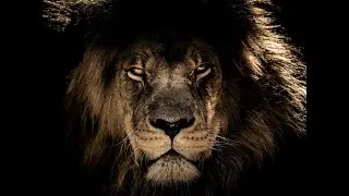 Daniel in the Lion's Den - Message by Adam J. Coffman, Dailey Chapel Christian Church