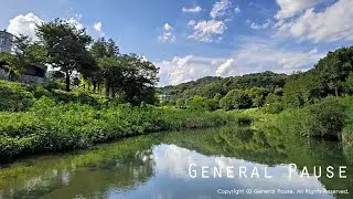 [Bright Weather Jazz] A Peaceful Day by the Riverside - 좋은 날씨 재즈, 강가에서 보내는 평온한 하루 🎷🌿🌞🎶💛